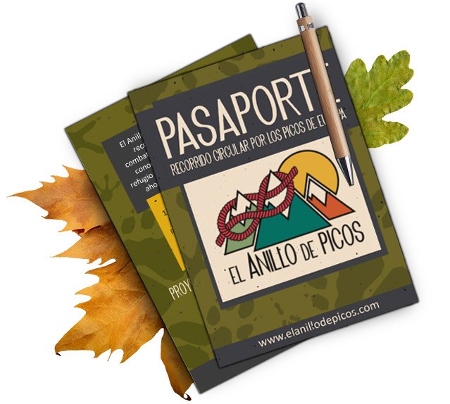 sellos pasaporte anillo de pìcos